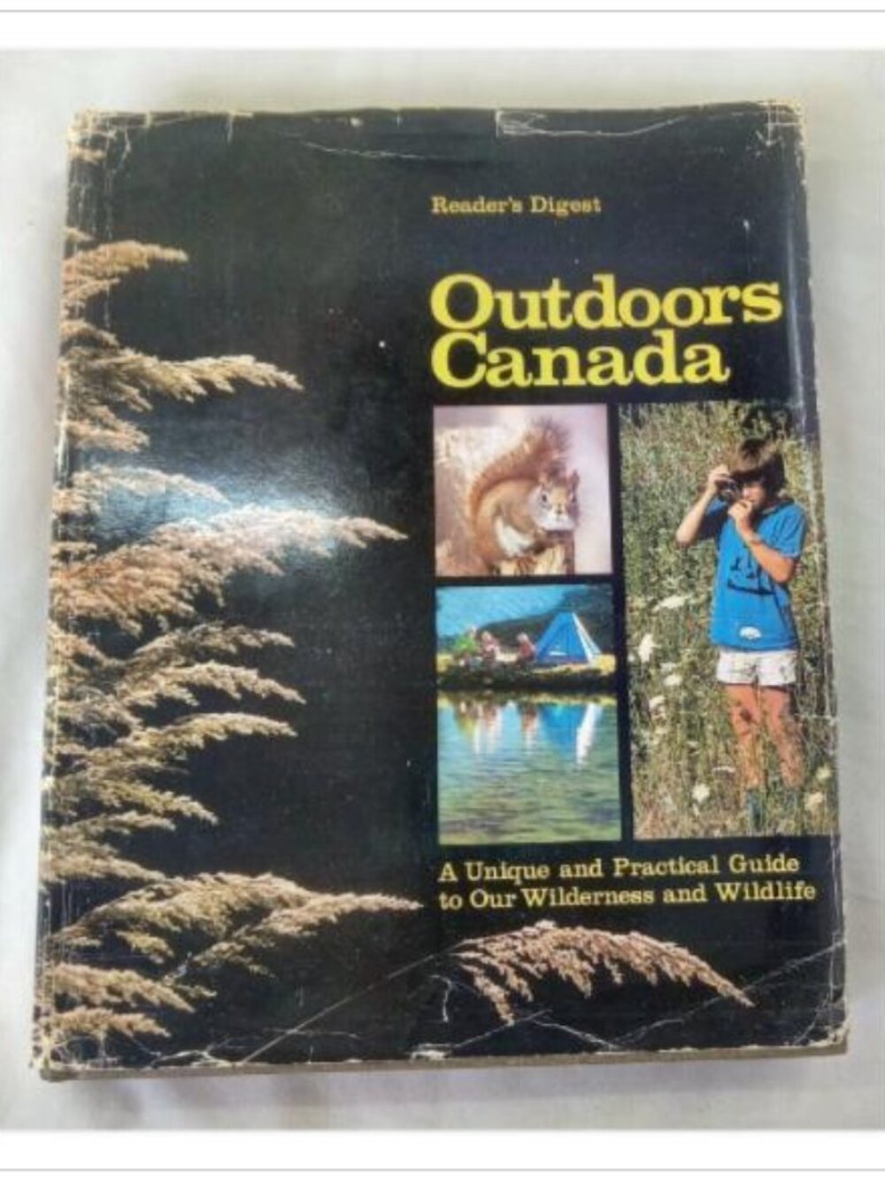 Outdoors Canada: A Unique and Practical Guide to Our Wilderness and Wildlife